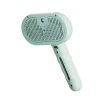 2-in-1 Pet Grooming Comb with Spray